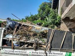 Reliable Catalina Foothills, AZ Junk Removal Solutions